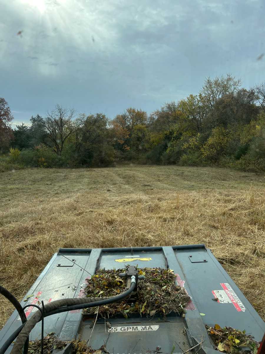 cleared land