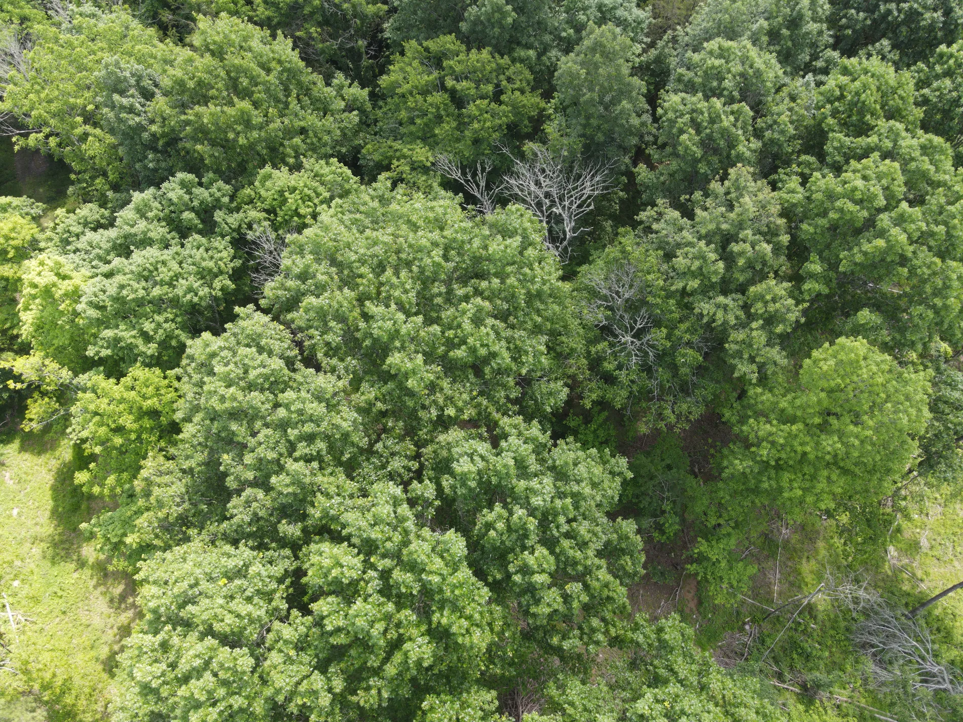 Areas We Serve landscape